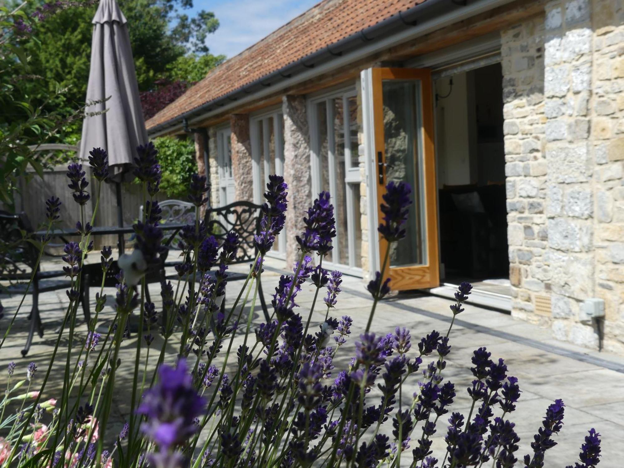 Pear Tree Cottages Wedmore Номер фото